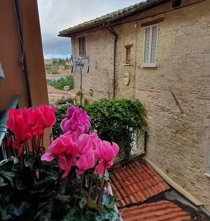 Maison Mavu